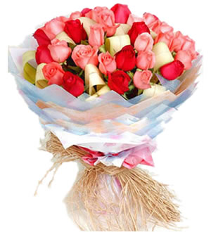 层层叠叠的爱 （已下架）-红玫瑰12枝，粉玫瑰21枝