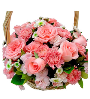温暖的母爱-16枝粉玫瑰，12枝粉色康乃馨，8枝多头粉色康乃馨