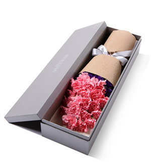 天使之祈 （已下架）-粉色康乃馨19枝精品礼盒