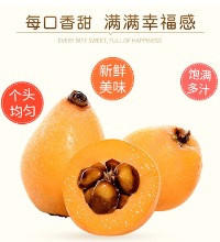 云南枇杷果 - 5斤 新鲜采摘 坏果包赔