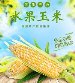 水果玉米 - 9斤 皮薄肉厚，颗粒饱满，香甜脆嫩
