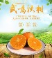 广西武鸣沃柑 - 鲜甜多汁，果味浓郁