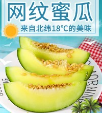 网纹蜜瓜 - 果味浓郁 清甜多汁 脆爽