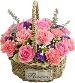 幸福的花蕾 - 粉色康乃馨 苏醒玫瑰