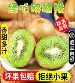 陕西绿心猕猴桃（非奇异果） - 20个 酸甜爽口,个头饱满