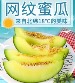 网纹蜜瓜 - 果味浓郁 清甜多汁 脆爽