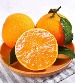 38号果冻橙（预售，20天后发货） - 香甜多汁